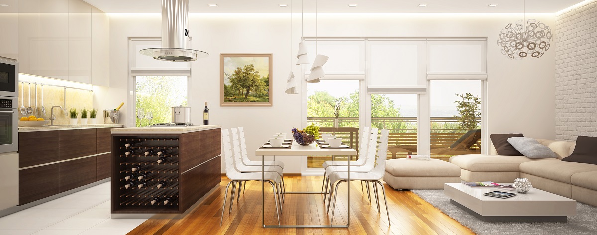 Modern Living Room And Kitchen